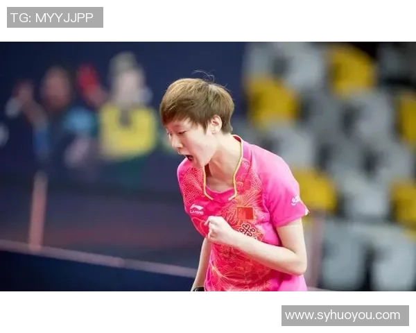 西安排球队战术引发热议球迷专家各抒己见争论不休